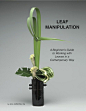 Leaf Manipulation Manual —: 