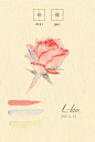 20151218水彩——玫瑰（长格）