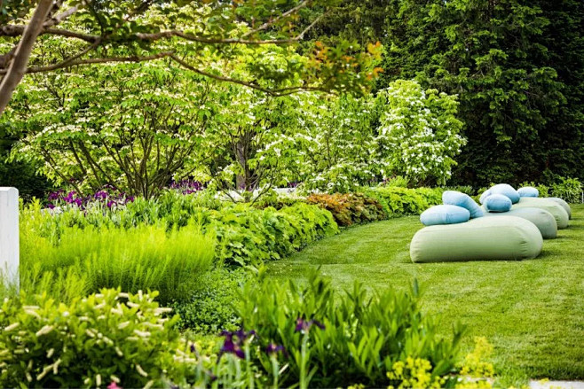 11:15:57芦苇景观植物搭配肆平景观设计同采自mp