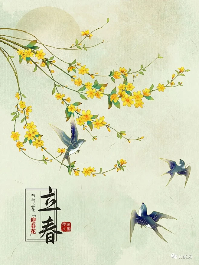 24节气｜立春｜花卉植物篇｜迎春花-花瓣网