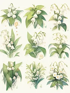 手帐贴纸 | 花卉篇1⃣·铃兰|花语是幸福归来