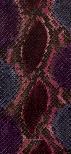 蛇皮纹美学的个性演绎 手机壁纸 - 小红书