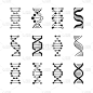 dna 图标。遗传结构代码, dna 分子模型隔离在白色背景。遗传向量符号