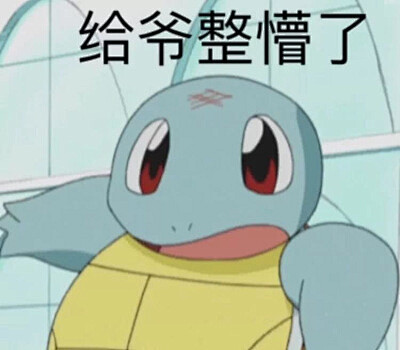 沙雕表情包杰尼龟