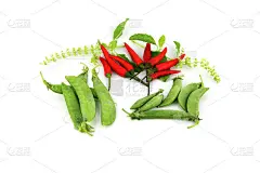 红辣椒要麻辣，青豆要豆丝。