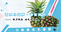 电商/生鲜水果/海报/banner/菠萝