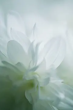 创美乐家居生活馆精选手机壁纸-锁屏壁纸-手机墙纸-手机屏幕背景-安卓壁纸-苹果壁纸-三星壁纸-小米壁纸-高清-摄影-美图