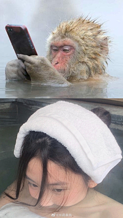 沉睡森林……采集到温泉