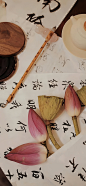 热门 - 热门微博 - 微博
