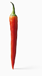 Red chili pepper on white background_创意图片