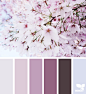 Design Seeds : Design Seeds color palettes ... posted daily for all who love color.