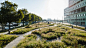 Kempenstraat, Antwerp by OMGEVING : A green edge along the docks Hospital Network Antwerp (ZNA) is busy building a new hospital on the plot between Kempenstraat and Noorderlaan. ZNA Cadix will be a fully-fledged hospital flanked by two new residential tow