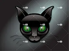 绿眼睛 基蒂 猫 绿色 国内的 动物 猫科动物 眼睛 自然
