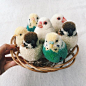 Pom Pom BIrds by Tsubasa Kuroda~Kits and a how to book on making various animals (in Japanese only) are available via her website. http://www.seibundo-shinkosha.net/pickup/ponpon/: 