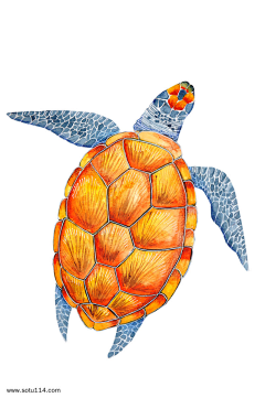 喵秒喵秒采集到插画