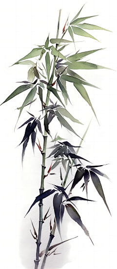 吃货归来采集到植物插画