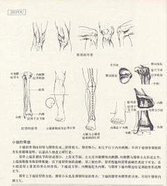 鱼兮子采集到艺用人体