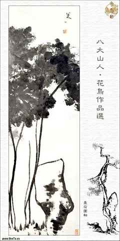 八大山人花鸟画作品精选