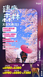 迷鹿森林