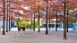 【办公景观】瑞士巴塞尔诺华公司总部景观Novartis Headquarters – Forum by_田道绿方_新浪博客