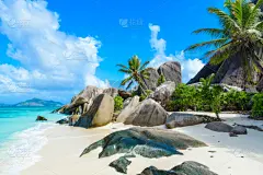 塞舌尔,岛,花岗岩,天体海滩,泉,巨石,科特迪阿跟特,鸡尾酒,旅途,度假