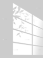 特效系列写实窗户+植物光影元素