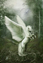 Pegasus of the enchanted forest