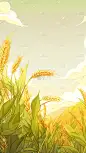 秋分通用插画麦穗背景图片