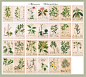 【特卖】Afternoon garden|古老岁月植物的温存|复古明信片 24枚-淘宝网