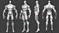 This may contain: an image of the human body with muscles and tendors highlighted in red, white or blue