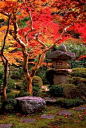 the serenity of a japanese garden.