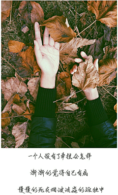 枍雩采集到与羡书(文字)