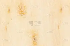 白桦,平视角,薄木片,特写,年轮,阔叶树,水平画幅,无人,木材,建筑材料