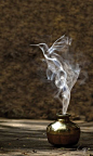 photo manipulation hummingbird: 