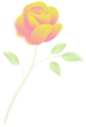 绿色梦幻植物玫瑰鲜花插画唯美橙色彩色花朵图片