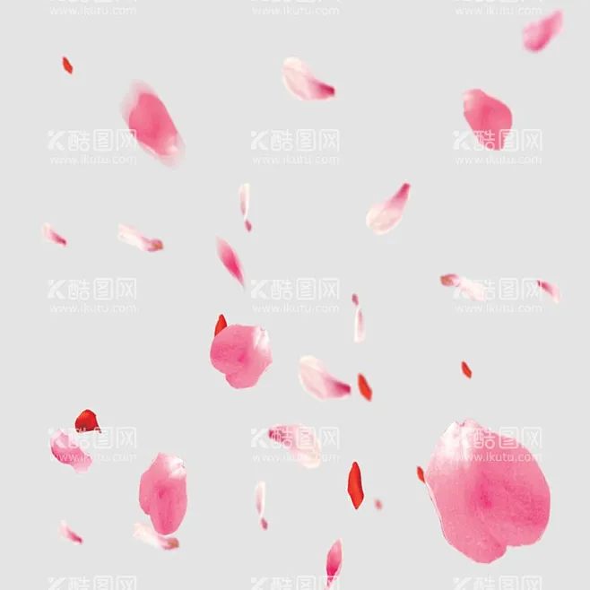 花瓣 - 源文件下载【酷图网】花瓣,花瓣飞舞,花瓣飘落,花瓣素材,花瓣元素,花瓣图案,花瓣图片,花瓣图标,花瓣背景,花瓣底纹,花朵,花朵图案 ...