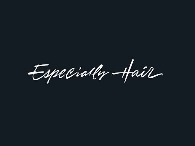 Especially Hair国外创意字...