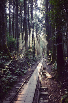 mashecho采集到素材 山