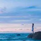 晨韫