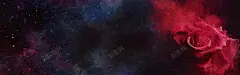 玫瑰背景图 玫瑰 绚丽 背景 设计图片 免费下载 页面网页 平面电商 创意素材