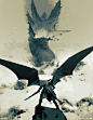 piotr-jablonski-oryx-akka-color-layerseeessss