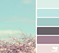 color配色方案