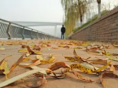 别人的手机 #人像# #美景# #壁纸# #静物#