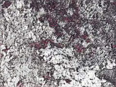 创造性的背景图案