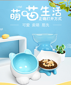 八宝家的洋葱采集到【宠物用品-主图】