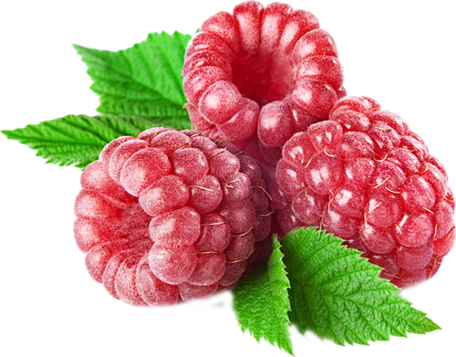 树莓 PNG素材 免抠图 水果 食物