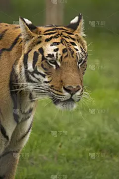 4620510742