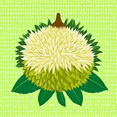 水果榴莲高清图片素材