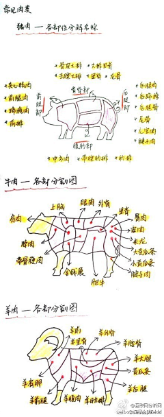 澔嫲采集到小知识