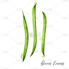 手绘新鲜青豆。